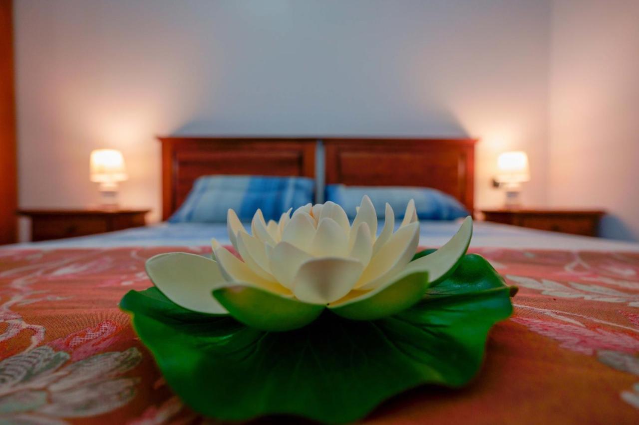 Bed And Breakfast Cairoli Exclusive Room 산 피에트로 베노티코 외부 사진